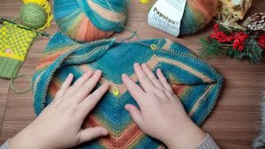 Что вяжется в феврале 2025\\ шаль и варежки