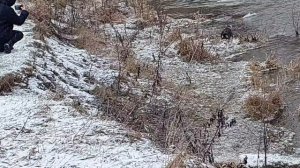 1000216742.mp4
03.02.25.
1 часть фильма
Поход к мосту.
г Таруса