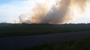 Пожар в лесу