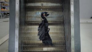 Cтупенчатая решетка УРСТ механической очистки сточных вод - СтройИнжСистем
