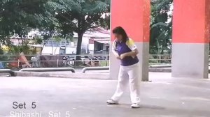 SHIBASHI SET 5 ~ (Melissa Thian)