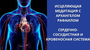 Сердечно-сосудистая и кровеносная система. Исцеляющая медитация с Архангелом Рафаилом