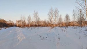 Иртышские Зори