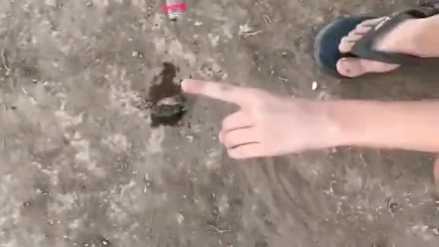 Как правильно ухаживать за камнем