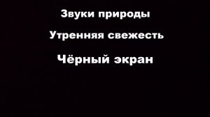 Звуки природы. Утренняя свежесть.Чёрный экран.