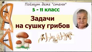 Задачи на сушку 5 – 7 – 11 класс. Как решать задачи. Часть 27