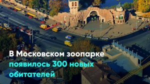 В Московском зоопарке появилось 300 новых обитателей