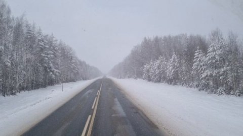 16.02.2025 Костромская область