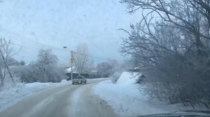 Содержание телят на улице в морозы. Нужен ли тёплый сарай?