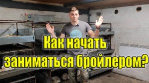Выращивание бройлера в домашних условиях. Как начать с нуля?