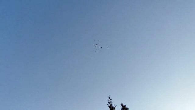 13 Июля второй выводок в небе смотреть онлайн