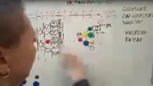 Алгоритм работы Бонусных программ Lime  Обучение для новичков   Как читать и считать маркетинг