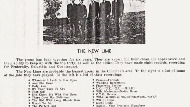 The New Lime - Whenever I Look in Her Eyes ('60s GARAGE) смотреть онлайн