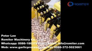 Автоматическая машина для посадки чеснока