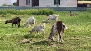 Цените тех,с кем маска не нужна