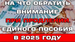 На что обратить внимание при продлении Единого пособия в 2025 году