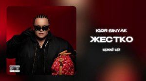 IGOR SINYAK - ЖЕСТКО (ru, sped up)