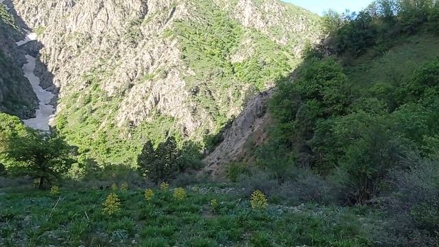 Тамошо ба Покрут Табиати зебои Точикистон Чикри чини рафтем. смотреть онлайн