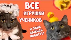 ИГРУШКИ УЧЕНИКОВ ШКОЛЫ КОТИКОВ