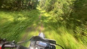 Меня ловят ДПС в лесу!? Тестирую крепление на шлем. Progasi Palma 250