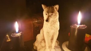 ШЕПОТКИ НА ВСЕ СЛУЧАИ ЖИЗНИ.  ВЕДЬМИНА ИЗБА. ИНГА ХОСРОЕВА