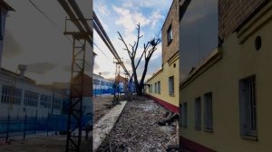 Обрезка тополя с автовышки над теплотрассой и крышей