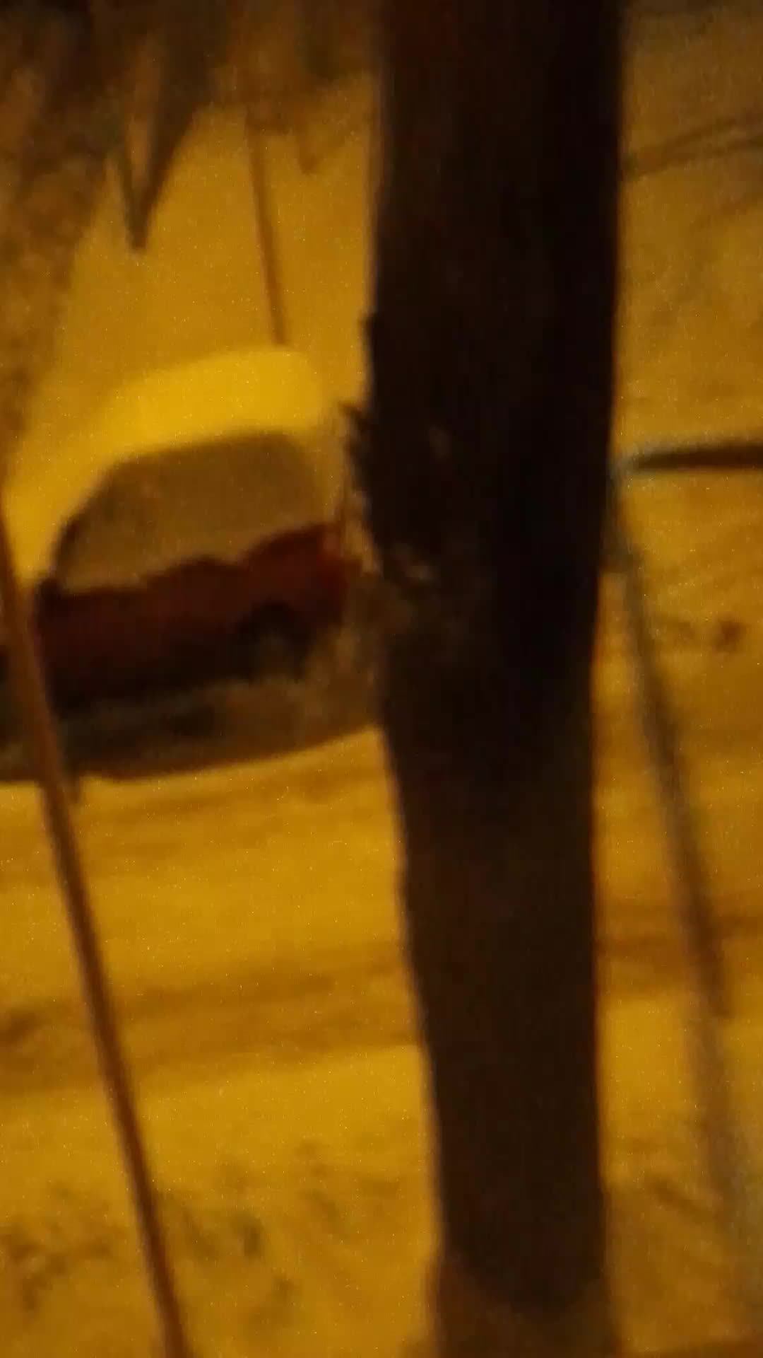 Тольятти