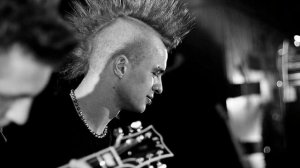 Terpincode  - Сытая дверь власти акустика