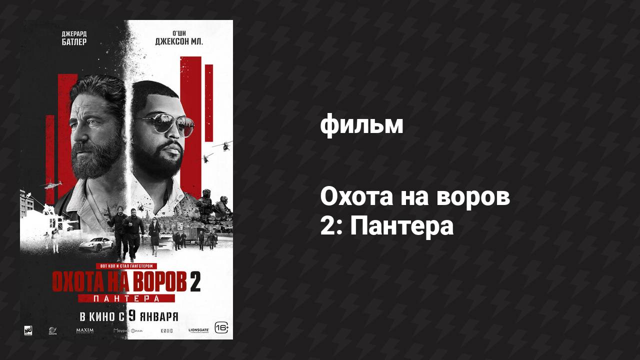 Охота на воров 2: Пантера (фильм, 2025)