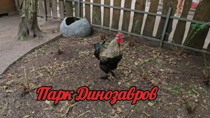 Леся и Паша в Парке Динозавров