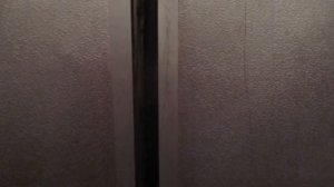 Лифт Мослифт (1998 г.в.), V=0,71 м/с, Q=350 кг (1437)