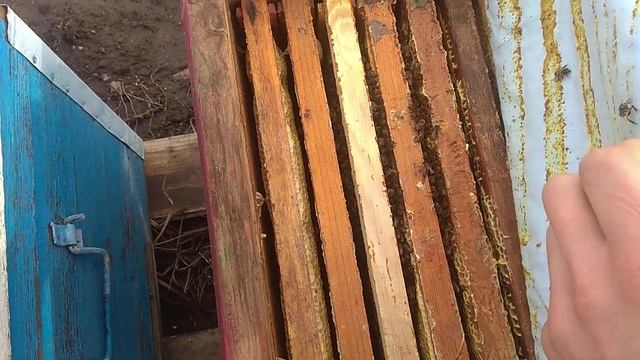 Состояние пасеки на 11.02.2020 смотреть онлайн