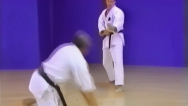 Годзю рю каратэ кумитэ