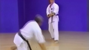 Годзю рю каратэ кумитэ