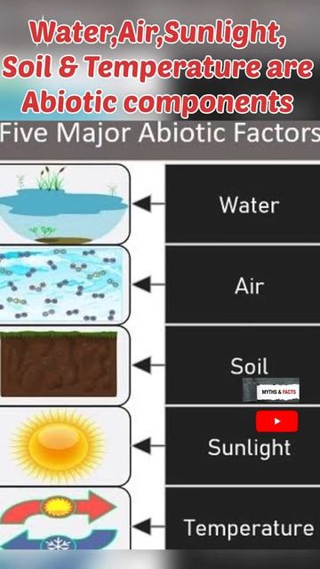 Does the Environment means our Surroundings🤔| Abiotic & Biotic components 🧐
