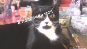 Топ 8 крутых песен