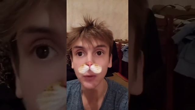 Я и мой кот и другие вайны смотреть онлайн