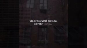 Однажды к тебе придет вера...