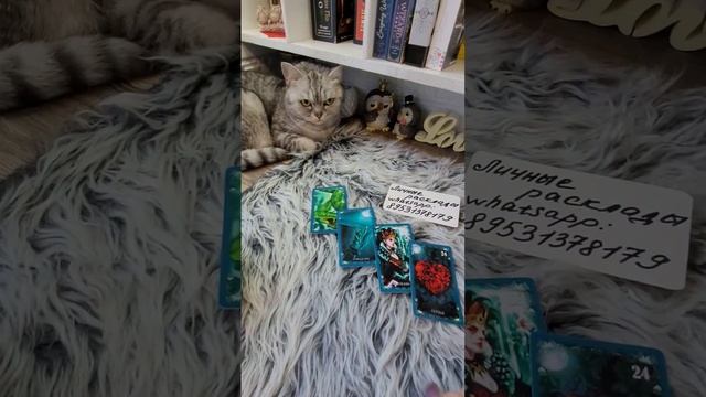 Есть ли среди Ваших друзей враги?