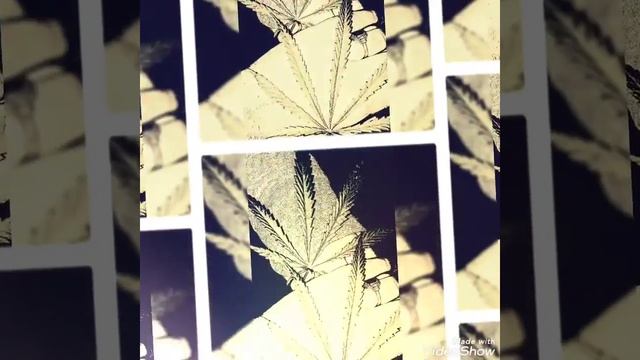 САМИР не спиши мэ ла уже вишутэм 😂😝 смотреть онлайн