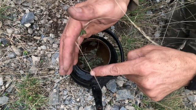 Избавьтесь от стресса недели отправляйтесь в поход и откройте для себя природу