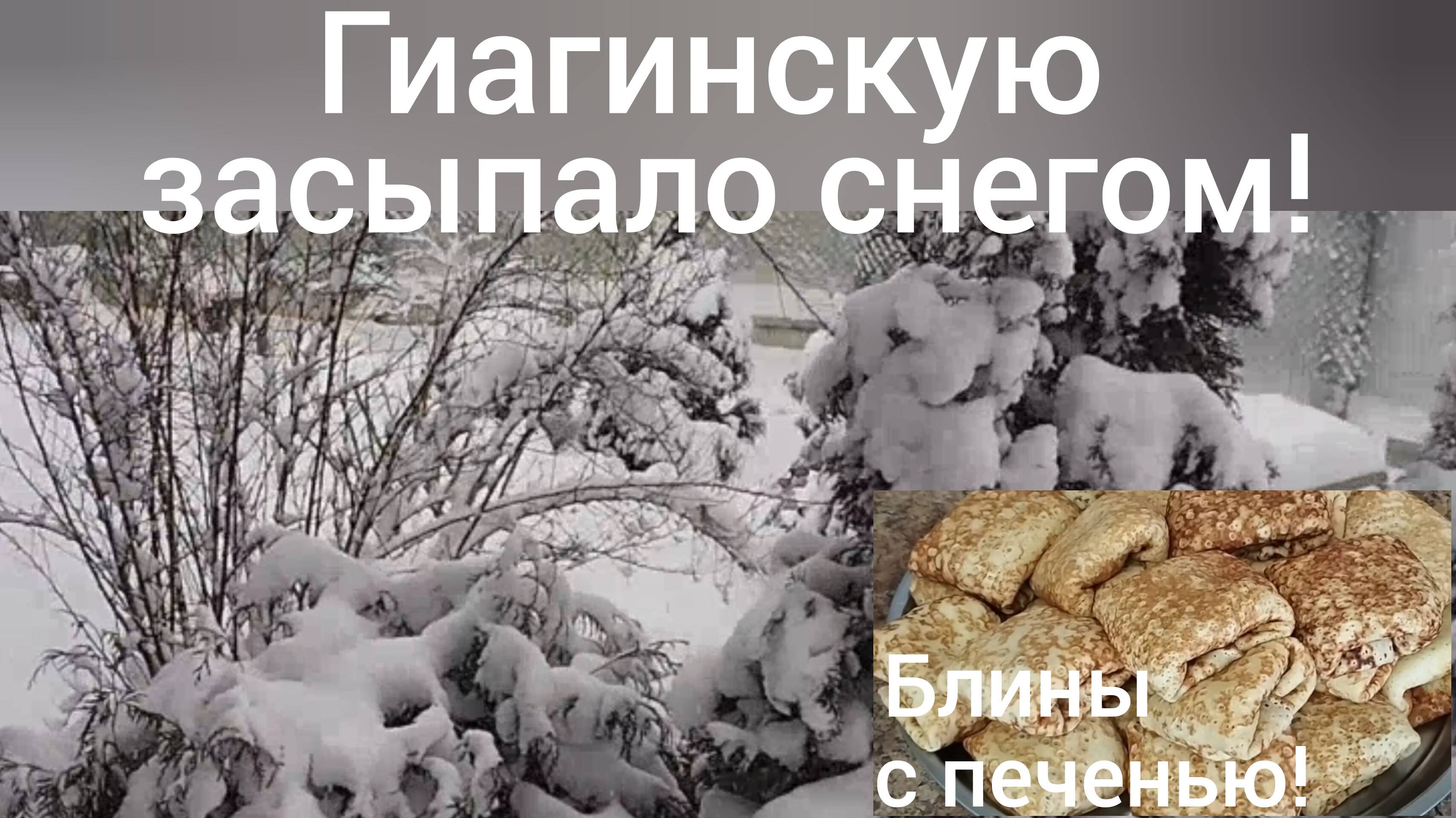 Адыгею завалило снегом/Вкусные блинчики с печенью и рисом/Наша жизнь в Гиагинской/