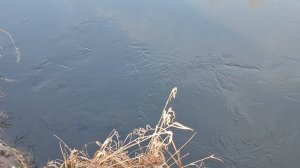 На спиннинг в январе на малой речке! поиск щуки!