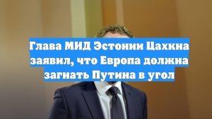 Глава МИД Эстонии Цахкна заявил, что Европа должна загнать Путина в угол