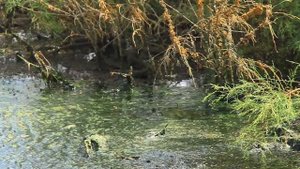 Зарисовки "Каратау"