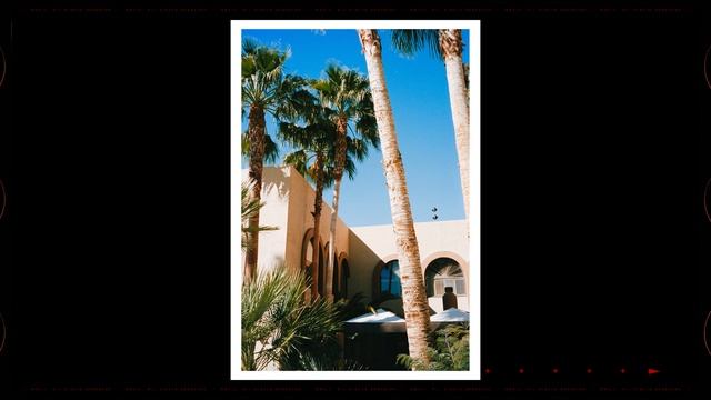 Camera Scanning Film | Leica SL2