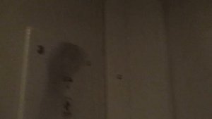 Лифт КМЗ-(2007 г.в.), V=0,71 м/с, Q=320 кг (1419)