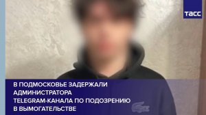 В Подмосковье задержали администратора Telegram-канала по подозрению в вымогательстве