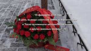 Митинг в Тосно 15.02.2025