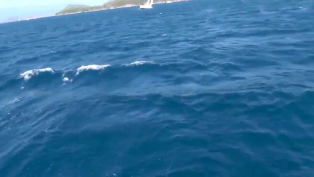 Дельфины Turkish Vlog №3 смотреть онлайн